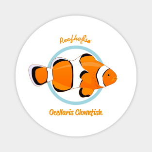 Ocellaris Clownfish Magnet